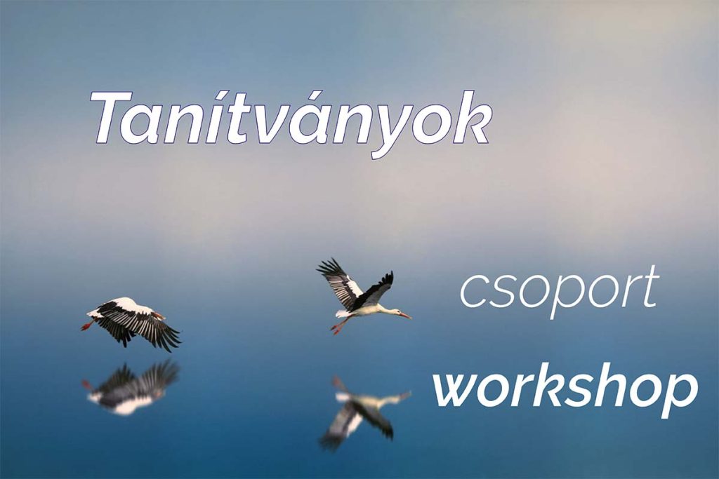 Induló pszichodráma csoportok